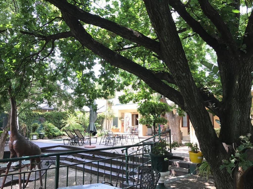 Elizabeth Manor Guest House Johannesburg Eksteriør bilde